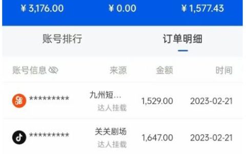 副业可以做什么，网剧分销项目，月入过万很轻松