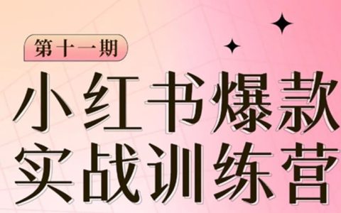 小红书博主爆款训练营第11期，手把手教你从0-1做小红书