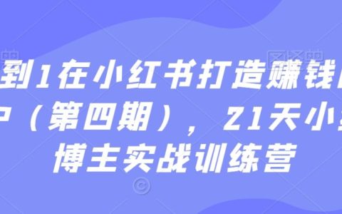 从0到1在小红书打造赚钱个人IP，21天小红书博主实战训练营