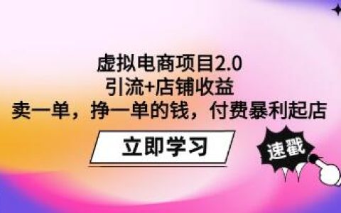 《虚拟电商项目2.0》引流+店铺收益，付费暴利起店