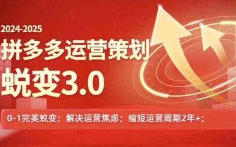 2024拼多多运营策略蜕变教程，0~1完美蜕变，解决信息焦虑